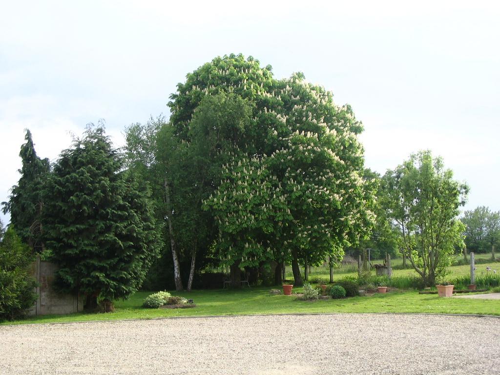 Bed and Breakfast Les Malvaux Huriel Zewnętrze zdjęcie